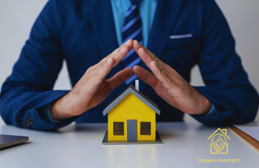 Real Estate Potential